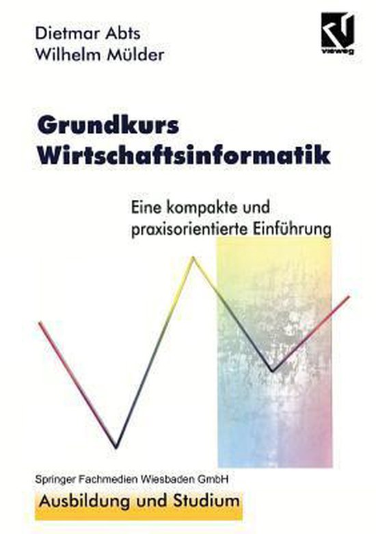 Grundkurs Wirtschaftsinformatik - cover