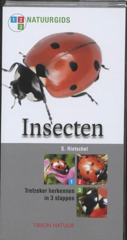 Cover van het boek 'Insecten'