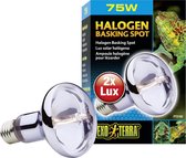 Exo Terra - Sun Glo Halogeen - 75W