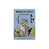 Birds of Chile – A Photo Guide