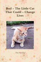 Bud - the Little Cat That Could - Change Lives
