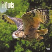 Owls 2016 Calendar