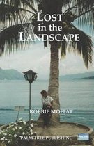 Lost in the Landscape
