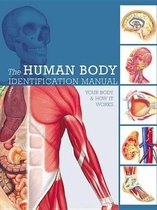 Human Body Identification Manual