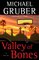 Jimmy Paz 2 - Valley of Bones, A Novel - Michael Gruber