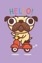 Hello!