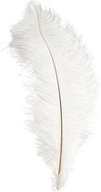 Creotime Struisvogelveren, 35-40 cm, wit, 1 stuk
