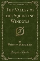 The Valley of the Squinting Windows (Classic Reprint)