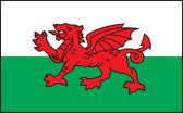 Vlag Wales 90 x 150 cm