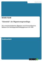 Boek cover Identität als Migrationsgrundlage van Kristin Vardi