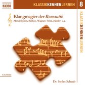 Stefan Schaub - Klangmagier Der Romantik Volume 8 (CD)