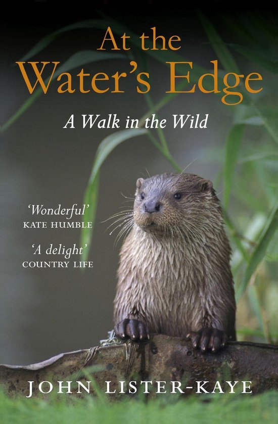 At the Water's Edge - cover