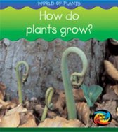 How Do Plants Grow