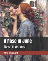 A Rose in June