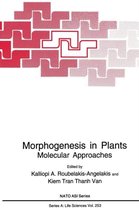 Morphogenesis in Plants