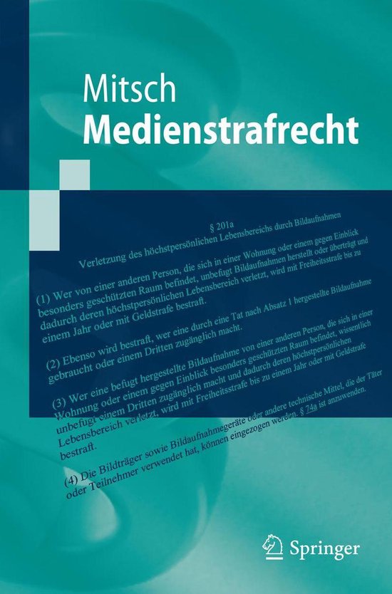 Springer-Lehrbuch - Medienstrafrecht - cover