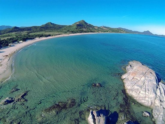 L'allenamento rivoluzionario nella corsa - cover