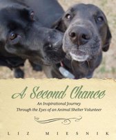 A Second Chance