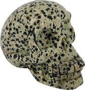 Ruben Robijn Jaspis dalmatier schedel 70 mm