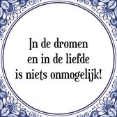 Tegeltje met Spreuk (Tegeltjeswijsheid): In de dromen en in de liefde is niets onmogelijk! + Kado verpakking & Plakhanger