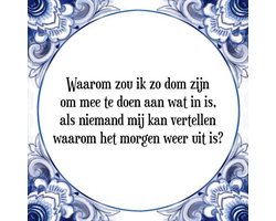 Tegeltje met Spreuk (Tegeltjeswijsheid): Waarom zou ik zo dom zijn om mee te doen aan wat in is, als niemand mij kan vertellen waarom het morgen weer uit is? + Kado verpakking & Plakhanger