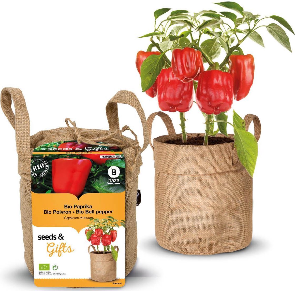Minituintje BIO paprika kweken
