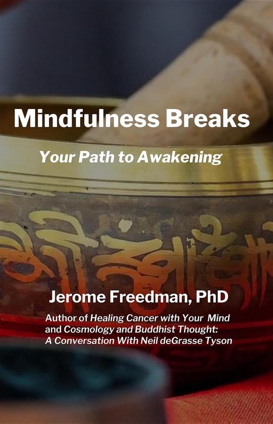 Mindfulness Breaks - cover