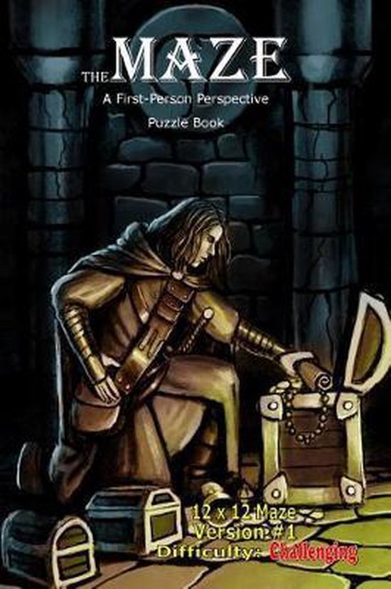 The Maze: A First-Person Perspective Puzzle Book-The Maze - cover
