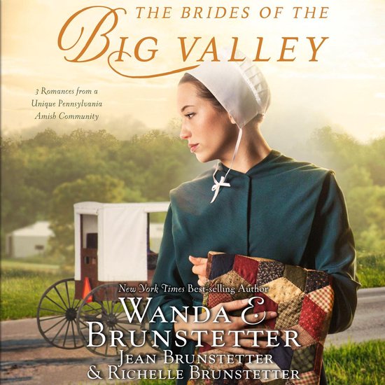 The Brides of the Big Valley - cover