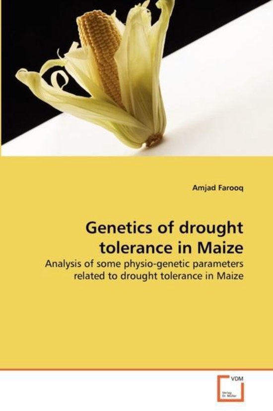 Genetics of drought tolerance in Maize | 9783639324464 | Amjad Farooq ...
