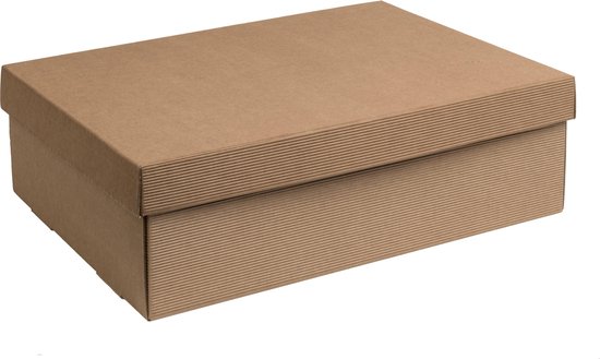 Boîte de luxe avec couvercle en carton NATUREL 30,5x21,5x10cm (35 pièces) |  bol.com