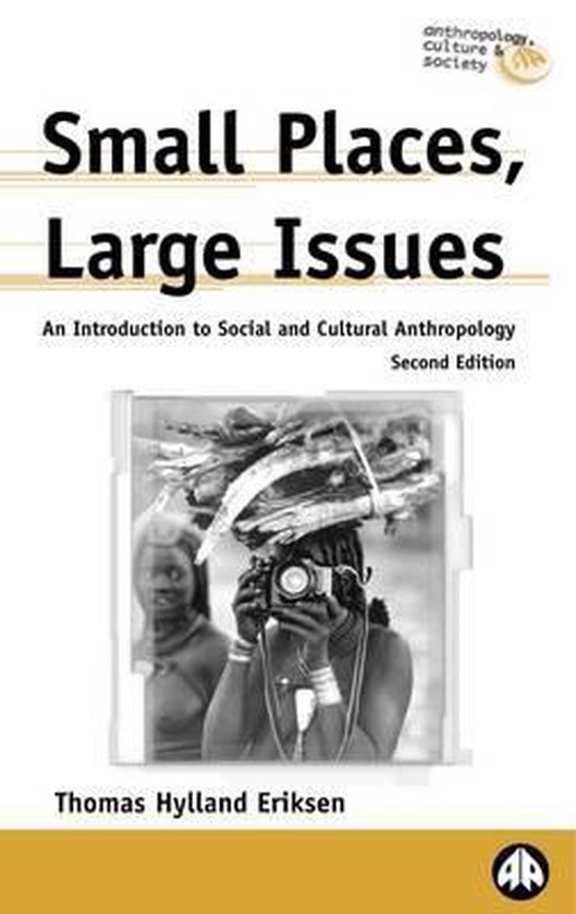 Small Places, Large Issues - cover