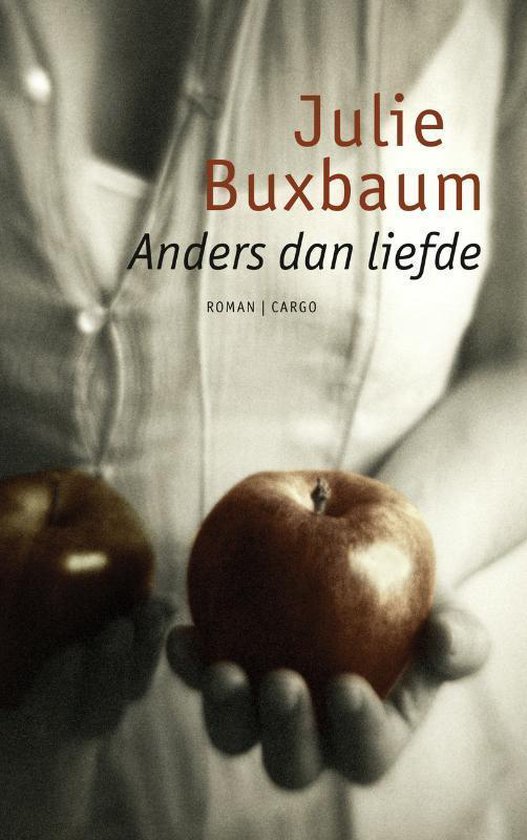 Cover van het boek 'Anders dan liefde' van Julie Buxbaum