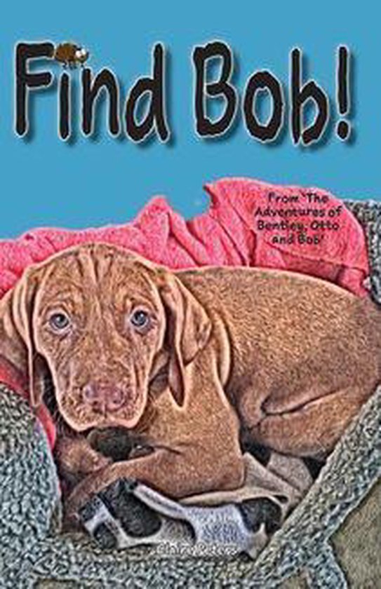 Find Bob! 1 - Find Bob! - cover