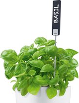 Blomus Pure Life Planta Plantnaambordje