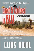 Dazed & Confused in Baja