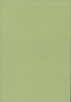 Gekleurd papier - Olijf - 220 gram - 3 x 6 vel - A4 - 21 x 29,7 cm