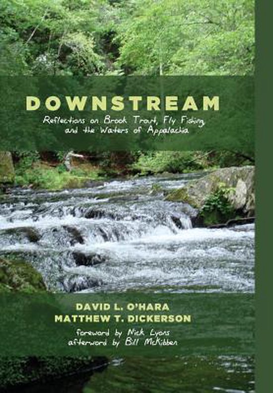 Foto: Downstream