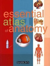 Essential Atlas of Anatomy