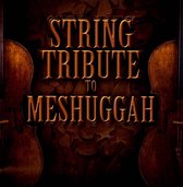 String Tribute to Meshuggah