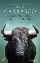 De grond onder onze voeten