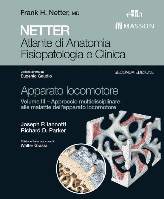 NETTER Atlante di Anatomia Fisiopatologica e Clinica 6 - NET ... - cover