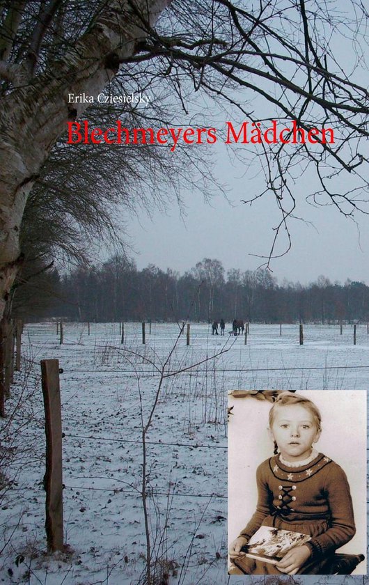 Blechmeyers Mädchen - cover