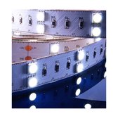 KapegoLED Flexible LED stripe, 5050-2x30-12V-6500K-7000K-3m, coldwhite, constant voltage, 12V DC, 43,20 W, length: 3000 mm, EEC: A, IP20