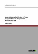 Jugendkulturarbeit in Der Offenen Jugendarbeit