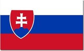 Vlag Slowakije 90 x 150 cm feestartikelen - Slowakije landen thema supporter/fan decoratie artikelen