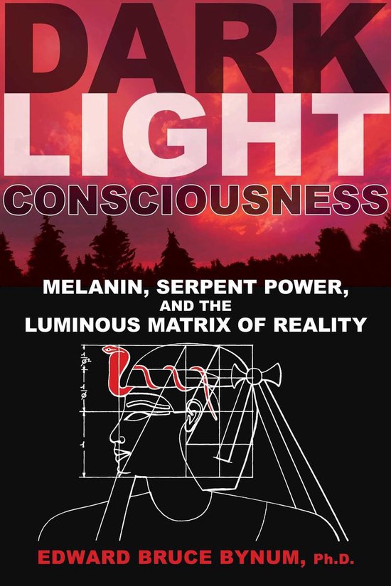 Dark Light Consciousness - cover
