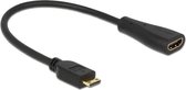 DeLOCK HDMI kabels 0.23m mini-HDMI/HDMI