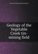 Geology of the Vegetable Creek tin-mining field