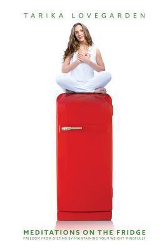 Meditations on the Fridge - cover